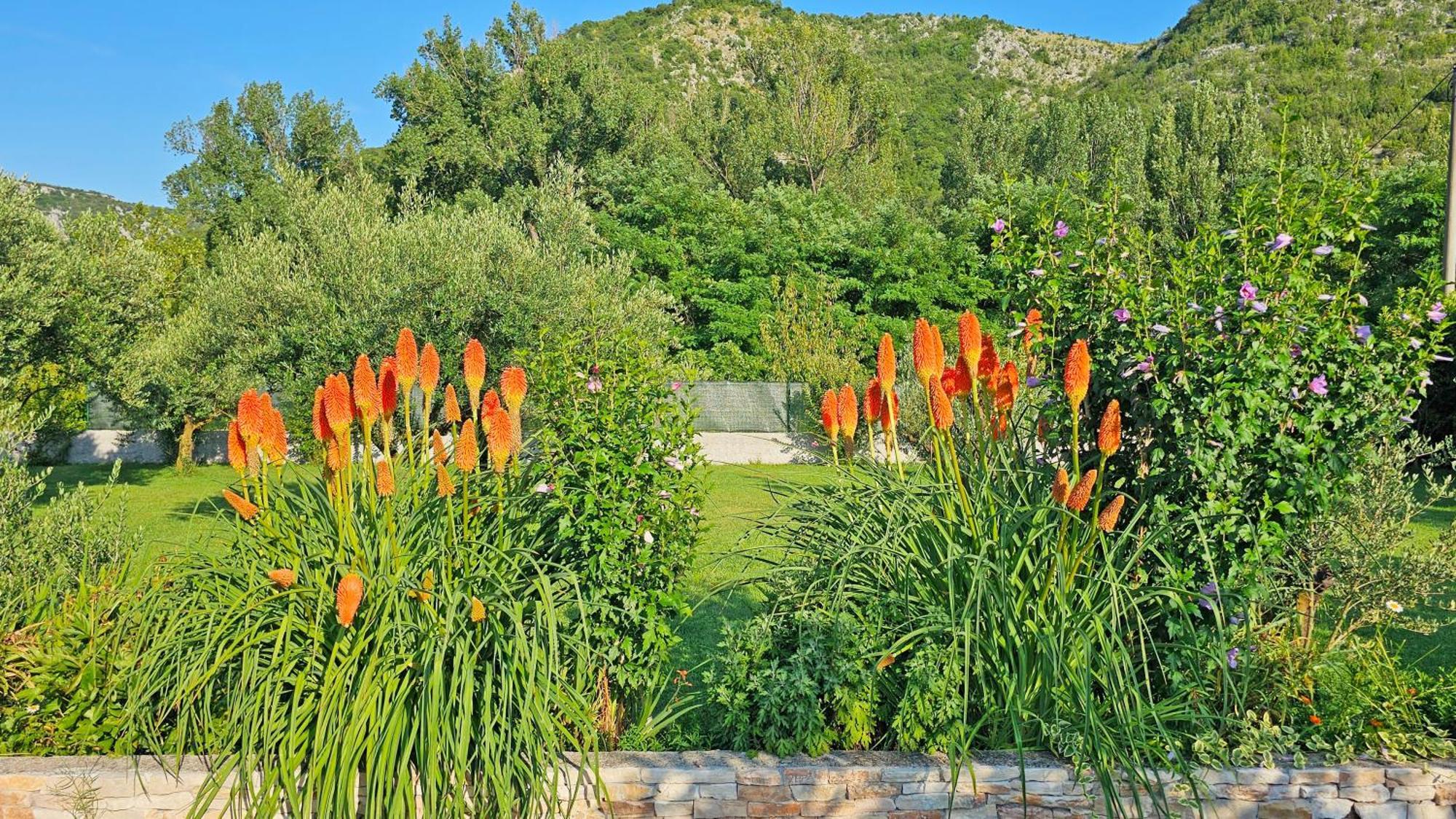 Holiday Home Natura With Private Pool Mostar Exterior photo